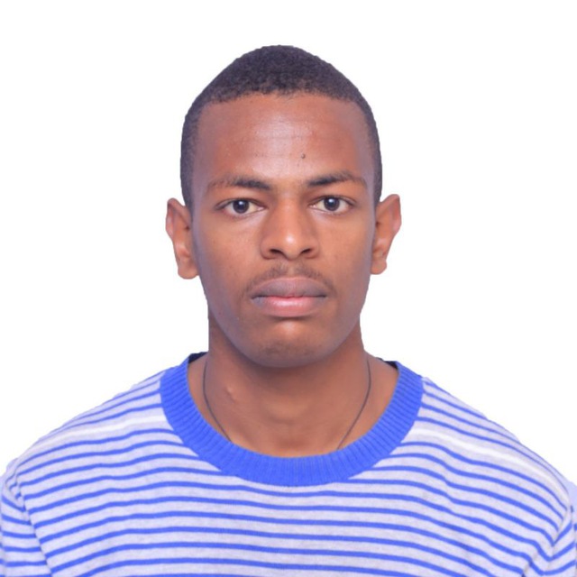 Fisehatsion Adisu, Lead Script Writer